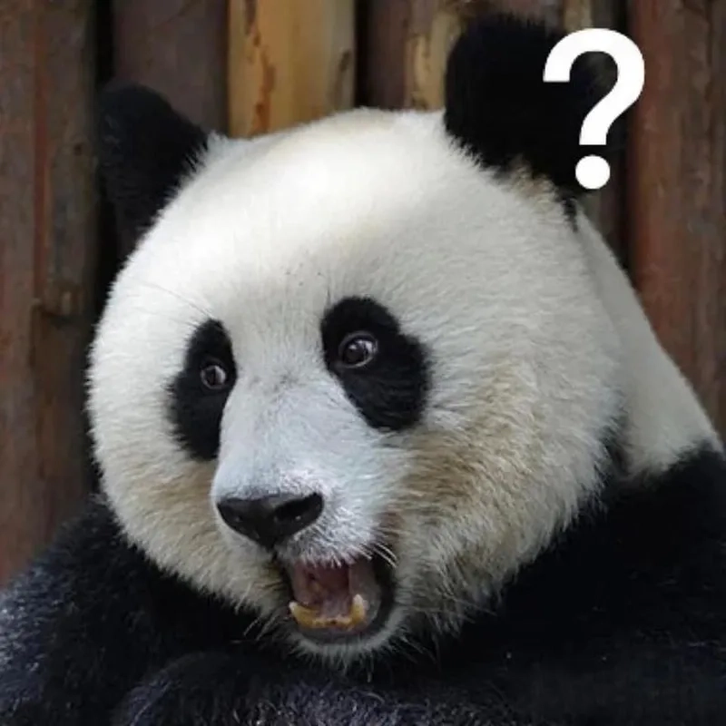 Ảnh meme buồn khóc khiến bạn cảm thấy đồng cảm