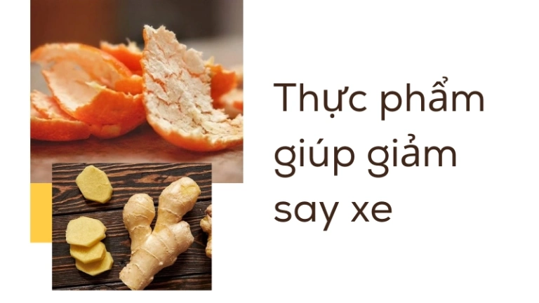 Bí kíp chống say tàu xe hiệu quả và an toàn cho mọi nhà