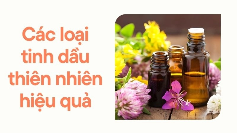 Các loại tinh dầu thiên nhiên hiệu quả nhất chống muỗi