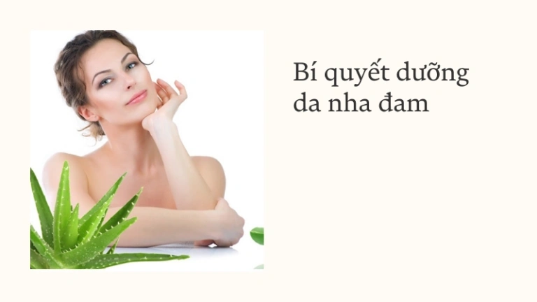 Cách dưỡng da bằng nha đam trắng mịn tôi đã kiểm chứng