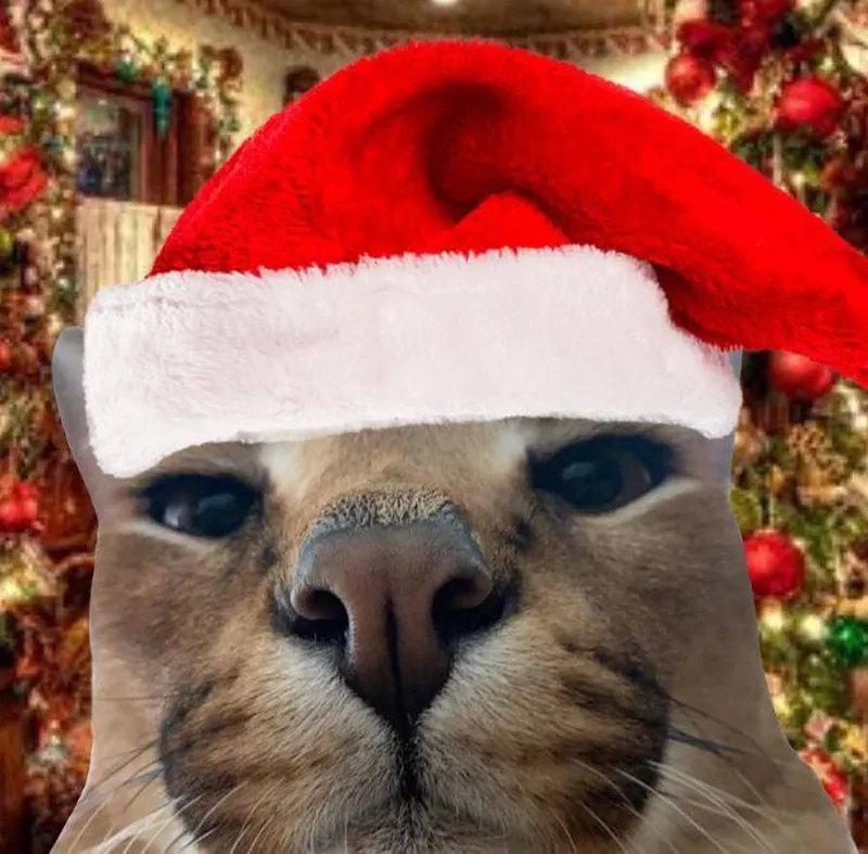 Cat noel meme đáng yêu khiến bạn muốn chia sẻ ngay