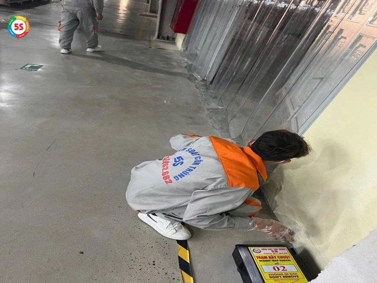 Chuột Vào Nhà Là Điềm Gì? Giải Mã Điềm Báo Tâm Linh và Cách Xử Lý Hiệu Quả