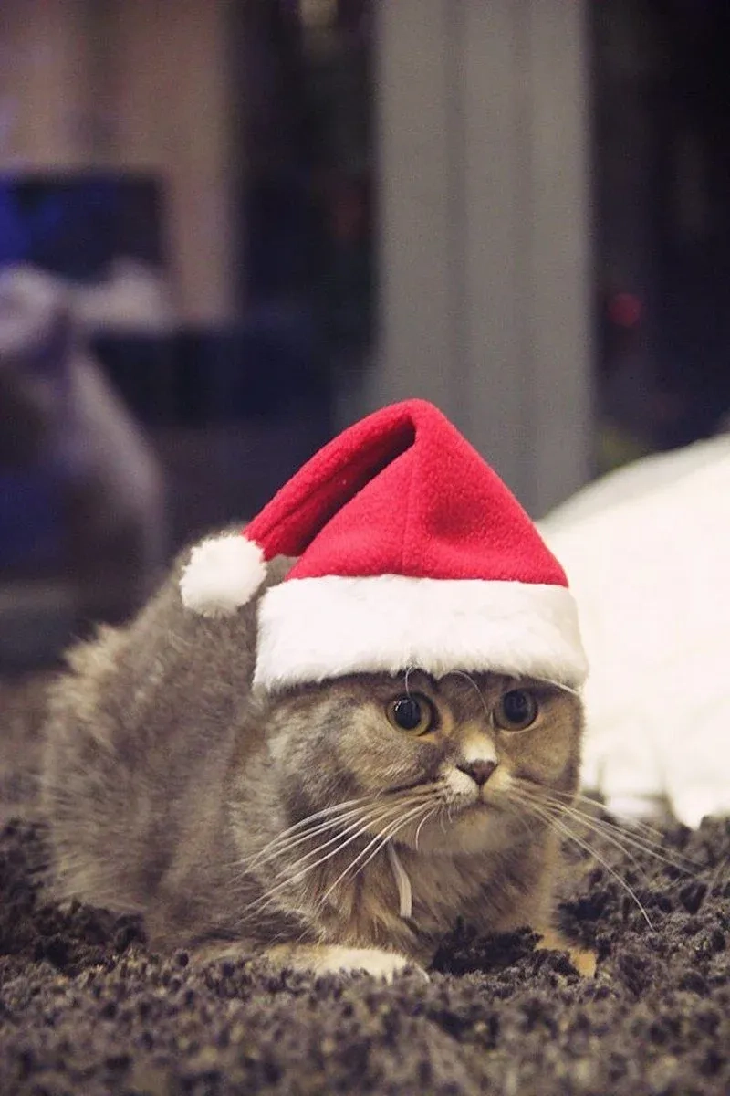 Deco noel a faire soi meme thể hiện sự sáng tạo trong trang trí