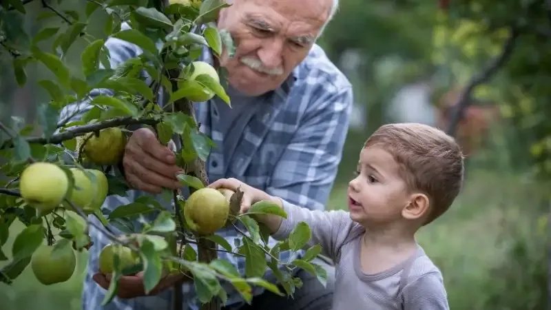 Giải mã giấc mơ thấy ông nội cho quà (Bánh kẹo)