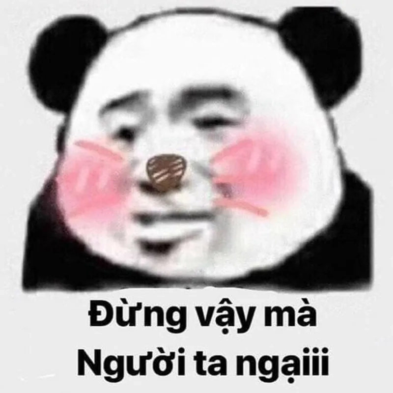 Hình meme khóc khiến bạn không thể nhịn cười