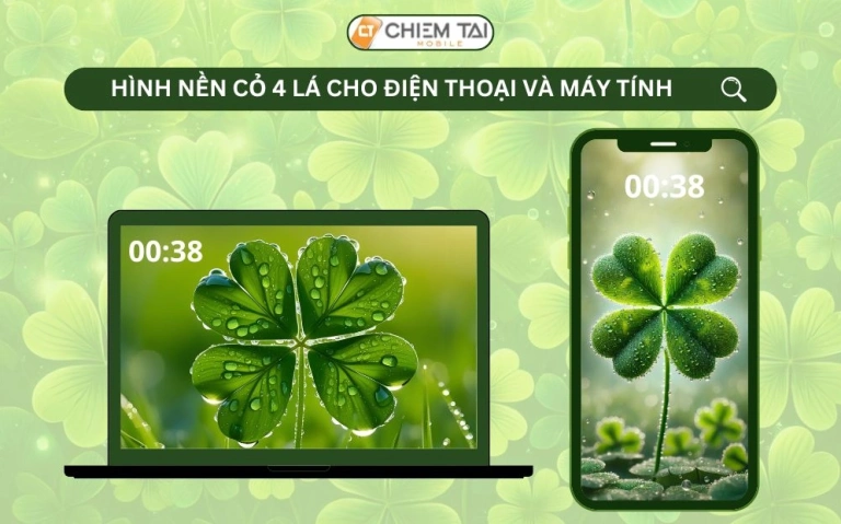 Hình nền cỏ 4 lá may mắn avatar đẹp 2026