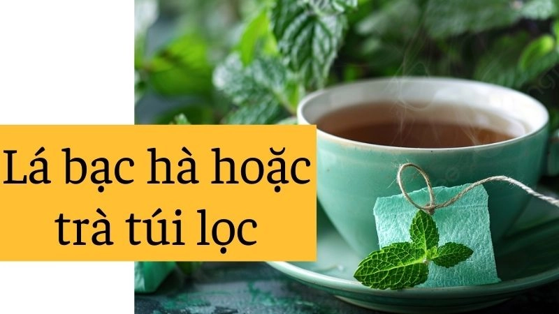 Lá bạc hà hoặc trà túi lọc 