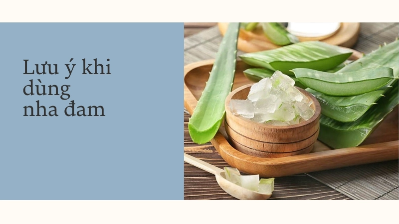 Lưu ý sống còn khi dùng nha đam dưỡng da