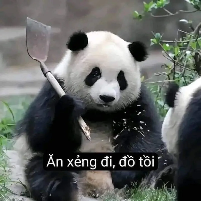 Meme giả vờ khóc khiến bạn không thể nhịn cười
