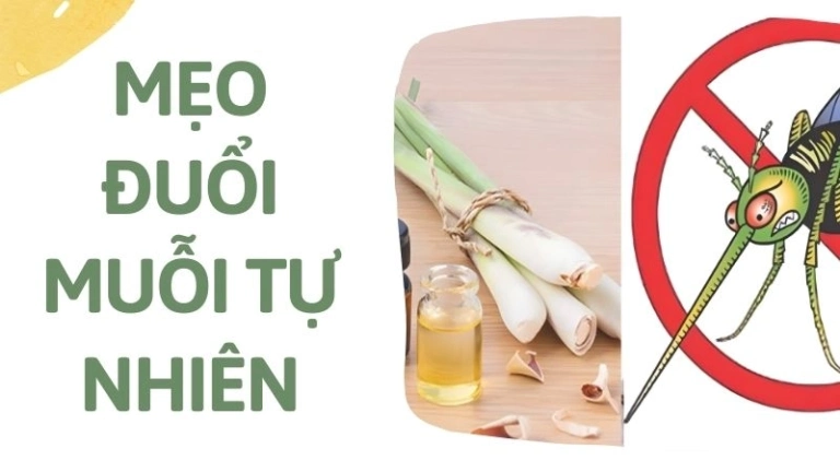 Mẹo đuổi muỗi tự nhiên, an toàn cho mọi thành viên trong nhà