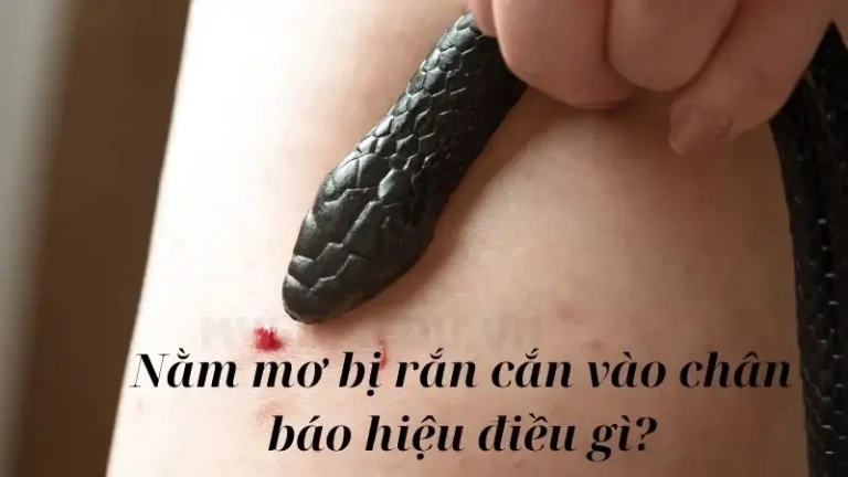 Nằm mơ bị rắn cắn vào chân báo hiệu điều gì? Lành hay dữ?