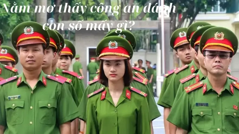 Nằm mơ thấy công an đánh con số mấy gì?