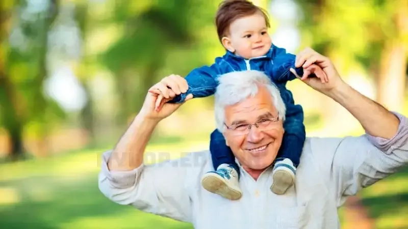 Nằm mơ thấy ông nội đã mất liên quan đến con số nào?