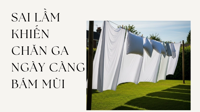Phơi chăn ga dưới ánh nắng mặt trời giúp diệt khuẩn nấm mốc