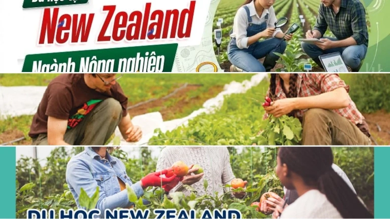 Quy trình đăng ký du học New Zealand ngành nông nghiệp 2026