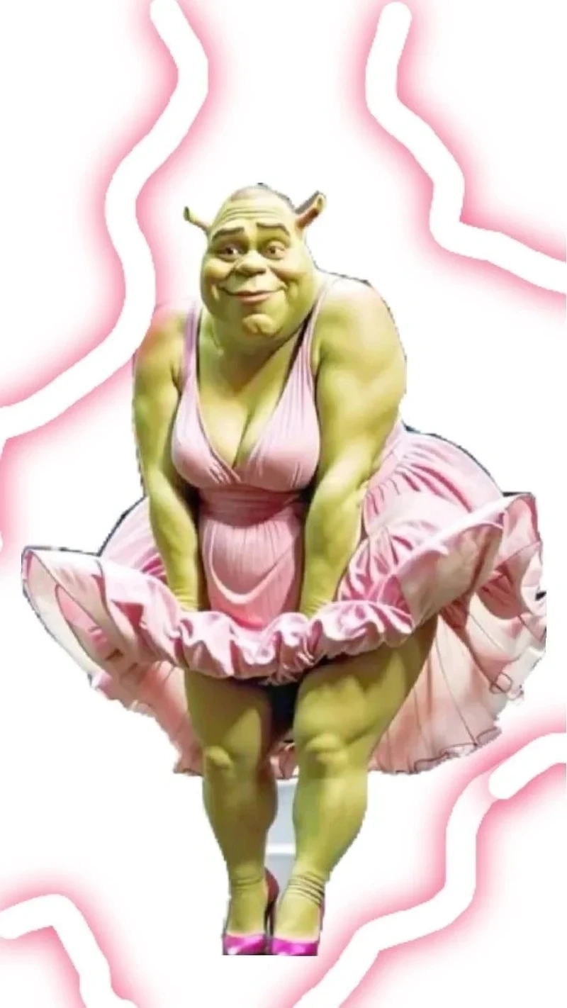 Sự kết hợp lạ lẫm từ cat shrek meme gây tò mò